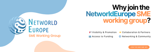 networleurope-insights-from-the-2024-survey